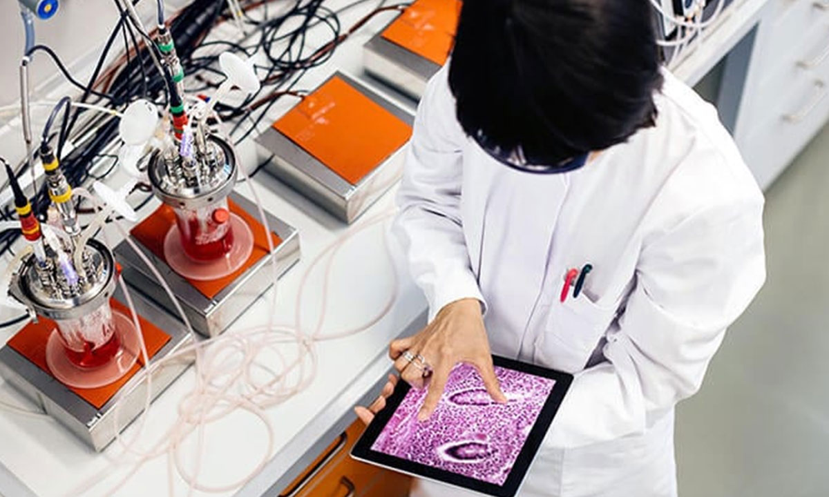 material testing laboratory in India